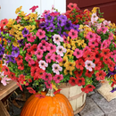VivaFlower™ – Flores Realistas Premium Com Proteção UV