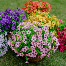 VivaFlower™ – Flores Realistas Premium Com Proteção UV 2.0