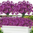 VivaFlower™ – Flores Realistas Premium Com Proteção UV