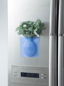 Vaso Elegancy