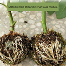 Muda Fácil
