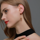 Brinco de Strass Luxury
